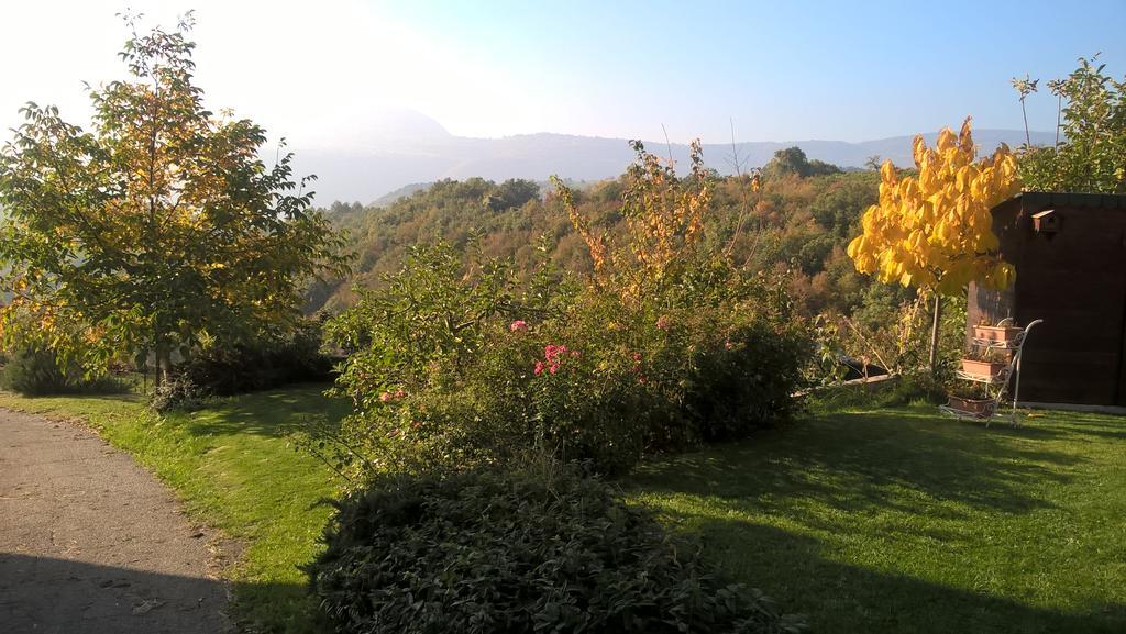 Da Andrea E Raffaella Guest House Sant'Anna d'Alfaedo Exterior photo